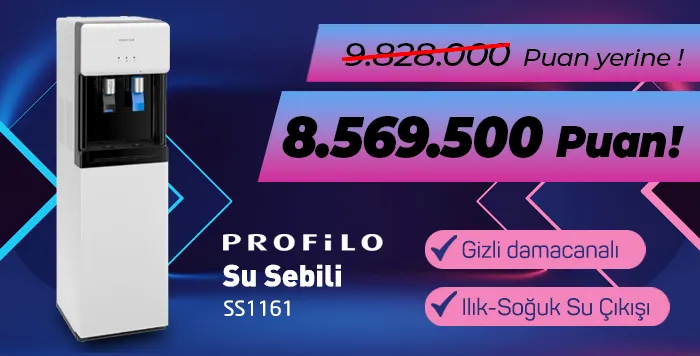 253817