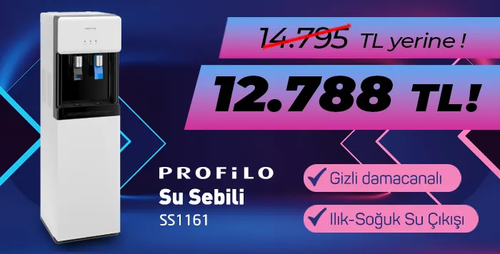 253817