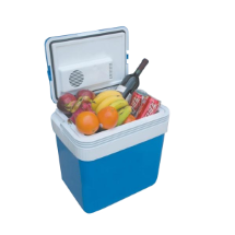 Icepeak Wismar 12/220 Volt 24lt Oto Buzdolabı