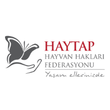 Haytap   Bağış