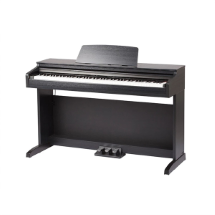 Medeli DP 250 RB  Dijital Piyano