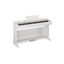 Medeli DP 250 RB  Dijital Piyano