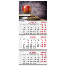 Link Pro LNKP-GMT008 Gemici Takvimi