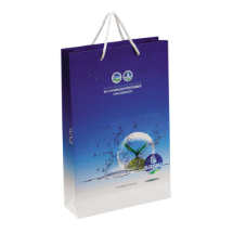 Link Pro LNKP-SNT008 Çanta