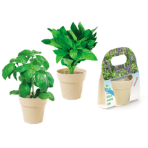 Link Pro LNKP-GDU014 Geri Dönüşümlü Mini Saksı