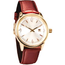 Link Pro LNKP-SAR016 Kol Saati