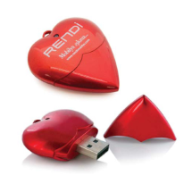 Link Pro LNKP-USB069 Kalp Şeklinde USB Bellek