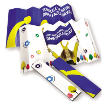 Link Pro LNKP-OMU013 Oto Güneşliği