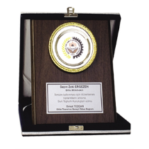 Link Pro LNKP-PLK001 Plaket