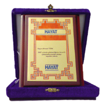 Link Pro LNKP-PLK002 Plaket