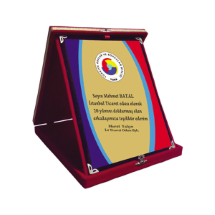 Link Pro LNKP-PLK004 Albüm Plaket