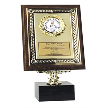 Link Pro LNKP-PLK003 Ayaklı Plaket