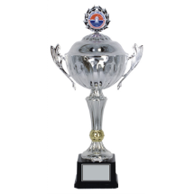 Link Pro LNKP-PLK010 Kupa