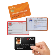 Link Pro LNKP-PVC008 PVC Kartlar