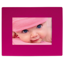 Link Pro LNKP-HOB002 Resim Çerçevesi