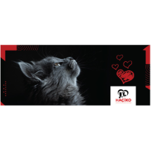 Haçiko   Kedi Maması Bağışı