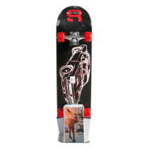 Xslide YX-0214A Skateboard  Kaykay