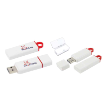 Link Pro LNKP-USB086 Plastik USB Bellek