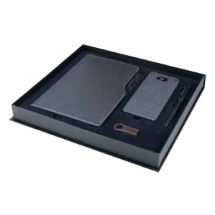 Link Pro LNKP-VPU021 Hediyelik Set
