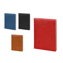 Link Pro LNKP-NEWAJD0016 Ajanda