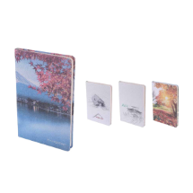 Link Pro LNKP-NEWDTR0018 Defter