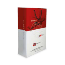 Link Pro LNKP-NEWSNT0014 Büyük Boy Dikey Karton Çanta