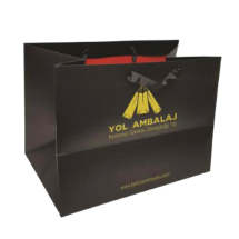 Link Pro LNKP-NEWSNT0006 Karton Çanta