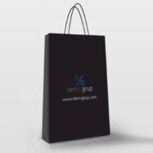 Link Pro LNKP-NEWSNT0008 Karton Çanta