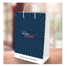 Link Pro LNKP-NEWSNT0010 Karton Çanta