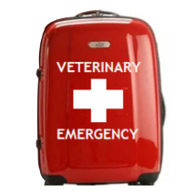 Link Pro LNKP-NEWVLR0002 Plastik Valiz