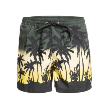 Quiksilver Everyday Paradise 15" 108513 Camo Thyme S121  Deniz Şortu