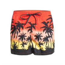 Quiksilver Everyday Paradise 15" 108513 Fiery Coral  Deniz Şortu