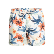 Quiksilver Everyday Garden Path 15" 108474 Antique White  Deniz Şortu