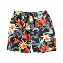 Quiksilver Everyday Garden Path 15" 108474 Marble Print  Deniz Şortu