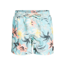 Quiksilver Everyday Garden Path 15" 108474 Angel Blue  Deniz Şortu