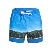 Quiksilver Jlagdrmsvly15 Jamv 9475 Blithe  Volley Şort