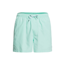 Quiksilver Everyday Volley 15 74877 Beach Glass  Volley Şort