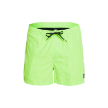 Quiksilver Everyday Volley 15 74879 Green Gecko  Volley Şort