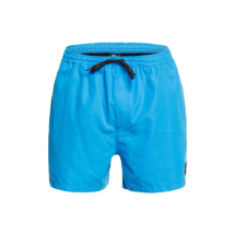 Quiksilver Everyday Volley 15 74869 Blithe  Volley Şort