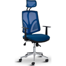 Asbir Venedik 50300  Yönetici Çalışma Koltuğu