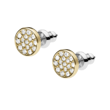 Fossil JOA00282-710 Kadın Küpe