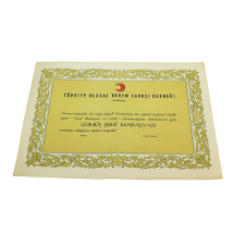 Türkiye Ulusal Verem Savaş Derneği   Gümüş Şeref Madalya Sertifikası