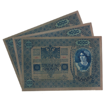 Avusturya Kroneni    1000 Kronen