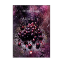 Yazardan Direkt Ges-Tin Kitap