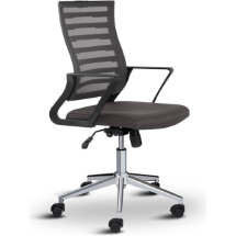 Asbir Capri Fileli Bilgisayar Sandalyesi  Çalışma Koltuğu