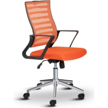 Asbir Capri Fileli Bilgisayar Sandalyesi  Çalışma Koltuğu