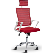 Asbir Ceo Fileli Başlıklı Metal Ayaklı  Çalışma Koltuğu