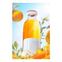 Wrapsol 300 ml  Smoothie Blender