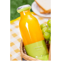 Wrapsol 300 ml  Smoothie Blender