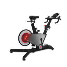 Voit I-Cycle Kondisyon Bisikleti